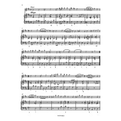 Sonata for Flute and BC "Hallenser No. 3" : HWV 376 B minor